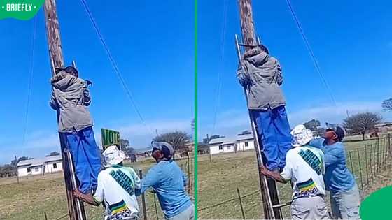 "People are tired": Zeerust community confronts man putting ANC posters on poles