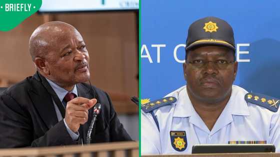 Fannie Masemola contradicts Senzo Mchunu's testimony about Ramaphosa's knowledge of PKTT disbandment