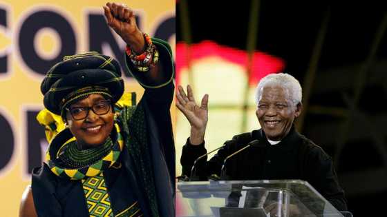 Top 20 most famous South Africans of all time: who are they?