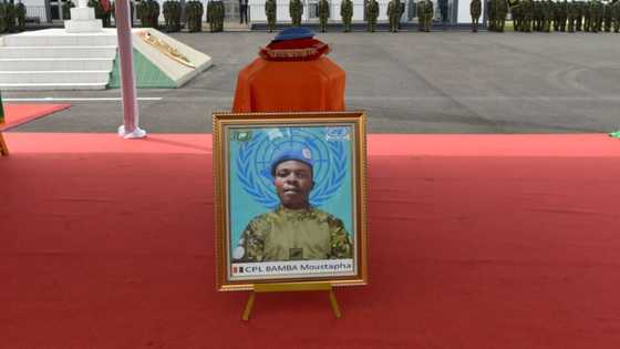 Mali peacekeeping force in the balance as countries withdraw