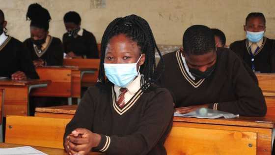"A good decision": Mzansi welcomes announcement that matric results won't be in newspapers