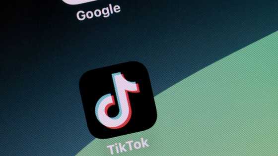 TikTok fails 'disinformation test' before EU vote, study shows