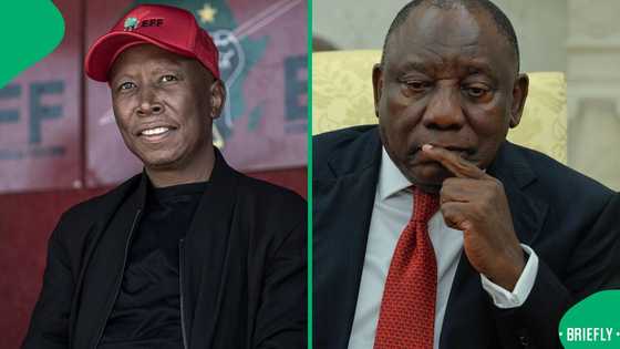 "Why should we subject criminals to commissions": Malema slams Ramaphosa for protecting Mchunu
