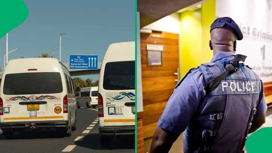 SAPS arrest 3 men for Eastern Cape taxi-related murders, nab some suspects inside Spur restaurant