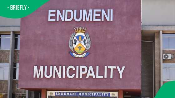 Endumeni Municipal Manager in KwaZulu-Natal resigns amid security tender saga, SA not surprised