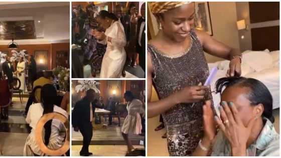 So beautiful: Siblings organize surprise white wedding for their parents who never had it in video