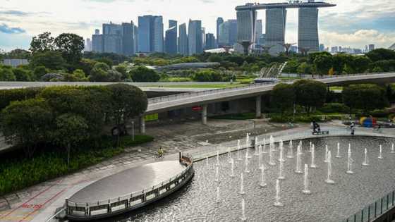 Singapore's economy grows 4.4% in Q3
