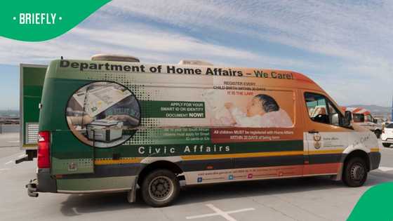 SIU exposes Home Affairs visa fraud syndicate funnelling millions to officials