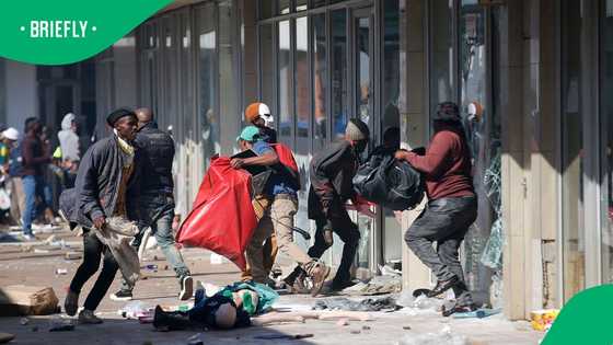 Looters target Eastern Cape butchery during anti-Nigerian King march