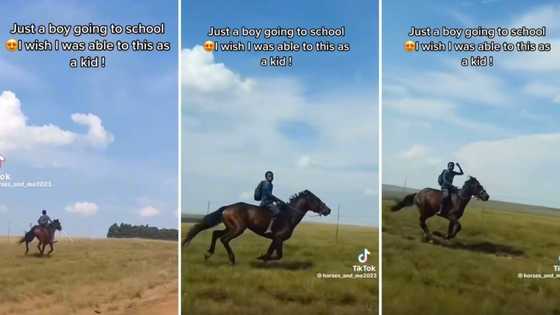 Video of young boy travelling to school on horseback gets 2.6M views on TikTok