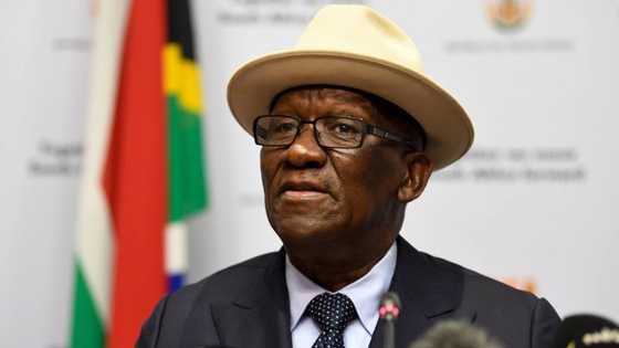 Bheki Cele vows to catch perpetrators in Gqeberha: "Publicity stunt"