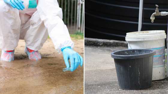 Cholera outbreak in Hammanskraal claims more lives, death toll reaches 12, South Africans blame the ANC