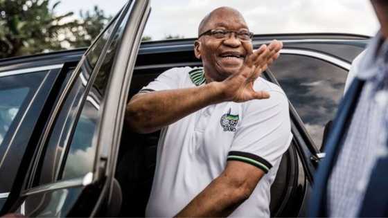 Jacob Zuma returns to SA following extended medical trip to Russia as private prosecution court date looms