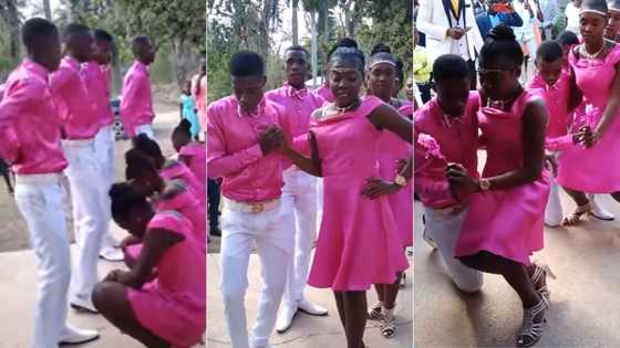 Video of Zambian bridesmaids and groomsmen's unique moves go viral as lengthy wedding dance has netizens in stitches