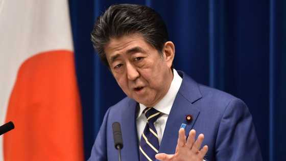 Shinzo Abe, who became Japan's longest-serving premier Wednesday, was groomed for politics from birth and has cemented his power with shrewd diplomacy, unwavering nationalism, and a knack for surviving scandal.