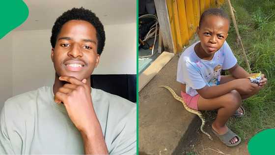 "Why does it not bite?": Little girl remains unbothered while the snake moves on her, SA stunned