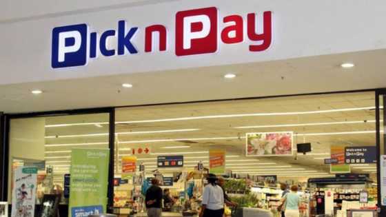 Who is the owner of Pick n Pay stores?