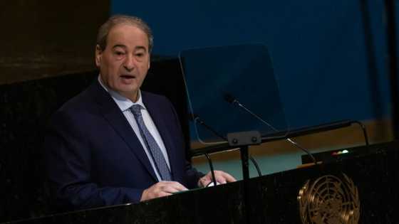 Russia enjoys rare backing at UN from Syria