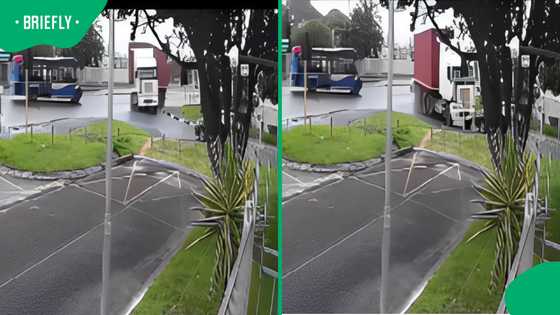 Viral video captures Bothasig truck crash: witness describes harrowing near miss in kitchen