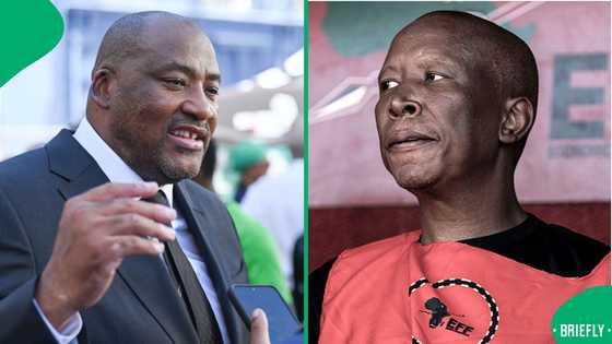 Gayton McKenzie claps back at Julius Malema's threat to sue him for badmouthing him
