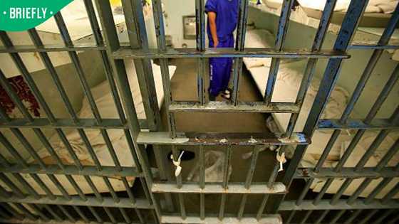 Eastern Cape family’s R500k UIF fraud scheme ends in prison sentences after 10-year trial