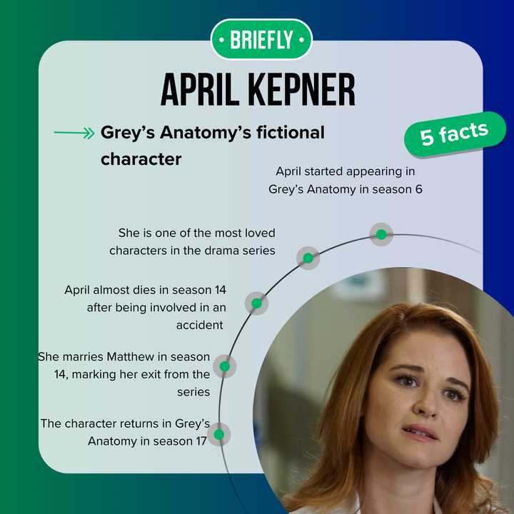 Does April Kepner die in Grey's Anatomy? Sarah Drew's exit explained