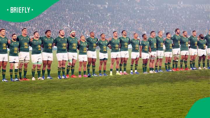 4 Springboks Named in Nations Championship XV After Rassie’s Heavy ...