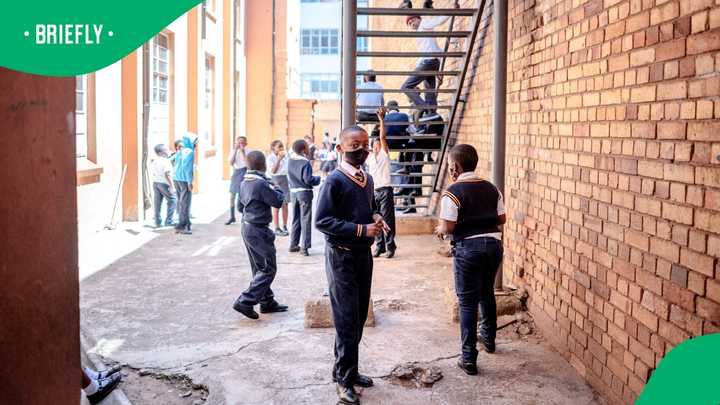 SAHRC Criticises Gauteng Education for Unplaced Learners as Parents ...