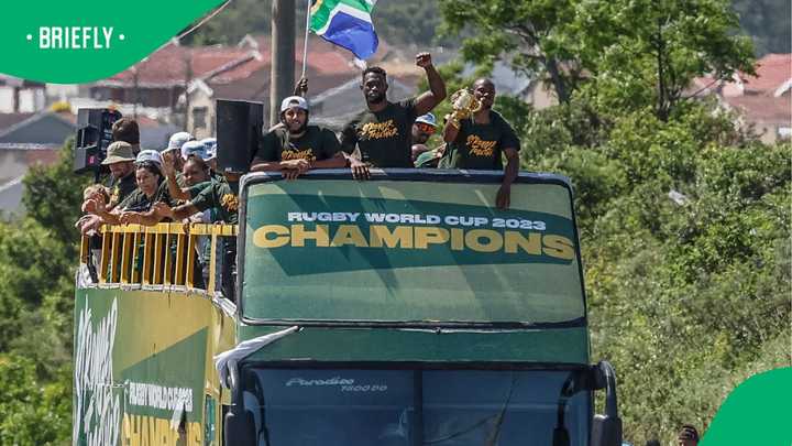 Springboks Add Two New Faces for 2026 Camp as Veterans Return Ahead of ...