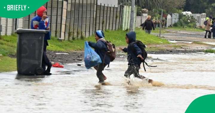 Western Cape Schools to Close Amid Level 8 Weather Warning - Briefly.co.za