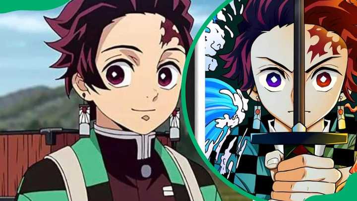 Does Tanjiro become a Hashira? The Demon Slayer’s path - Briefly.co.za - Does Tanjiro Become A Hashira After Mugen Train