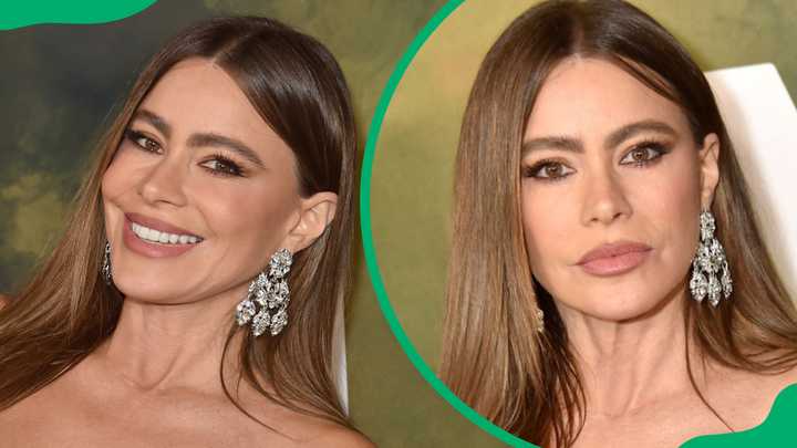 Sofia Vergara Net Worth Before Modern Family