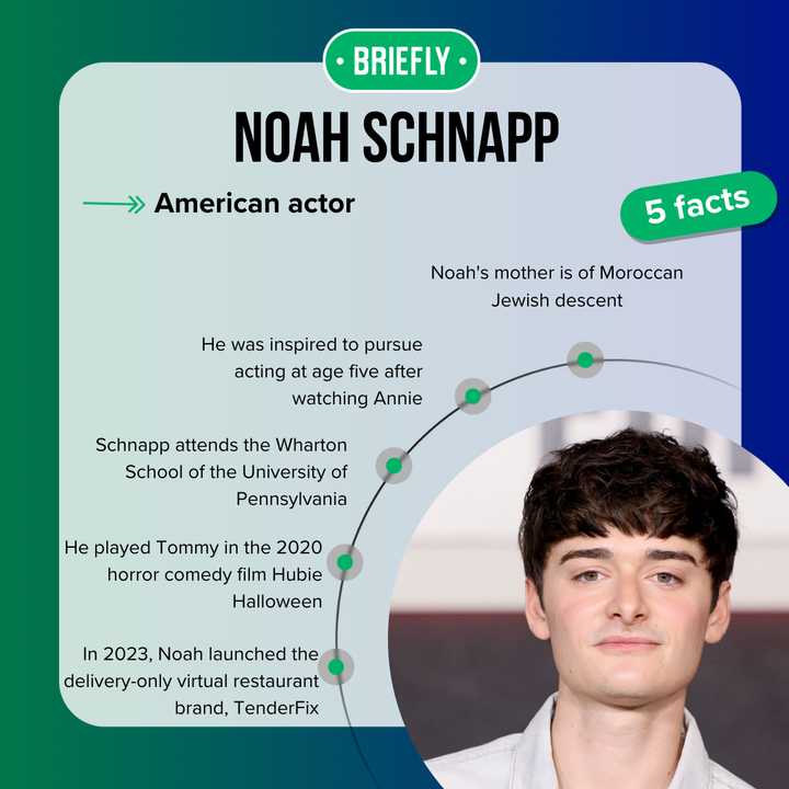 Noah Schnapp's dating life Is the Stranger Things star single