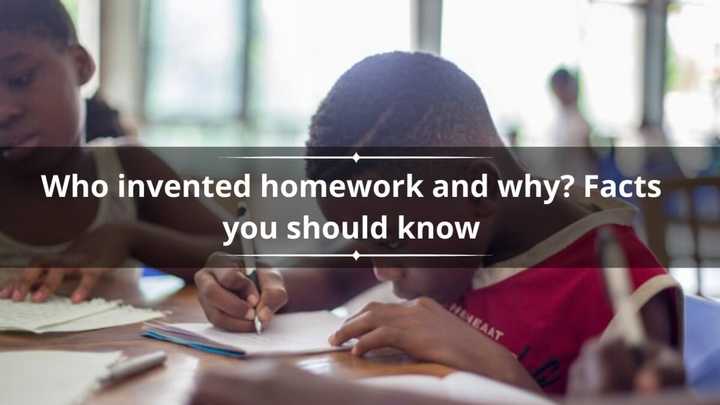 Who invented homework and why? Facts you should know - Briefly.co.za
