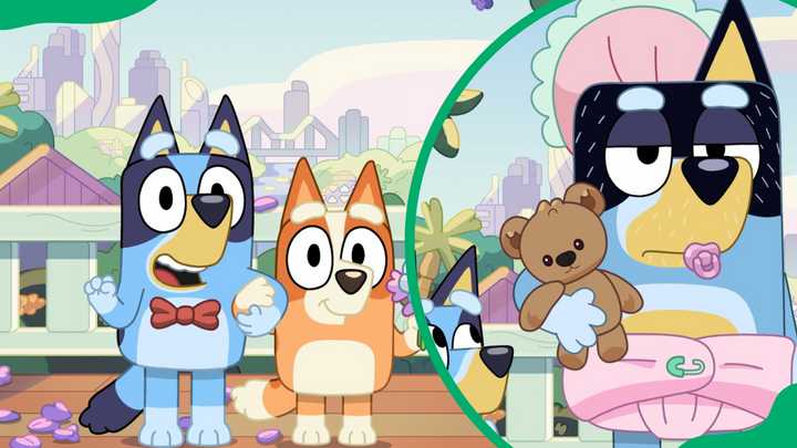 Heart-wrenching sad Bluey episodes that will make you cry - Briefly.co.za