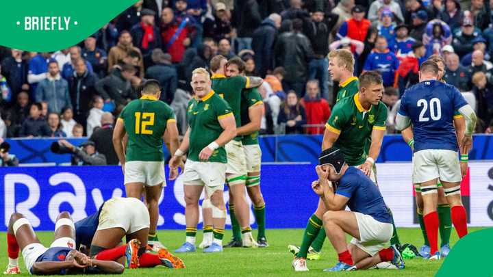 France Suffers Major Injury Blow Ahead of Springboks Nations ...