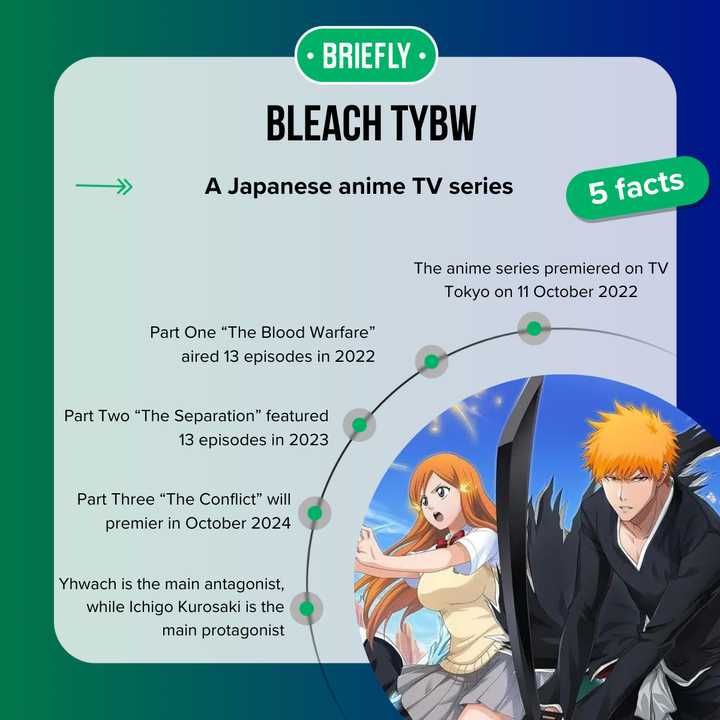 Bleach TYBW part 3 release date, trailer, cast, and latest updates Briefly.co.za