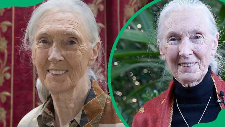 25 famous people who changed the world and impacted history - Briefly.co.za