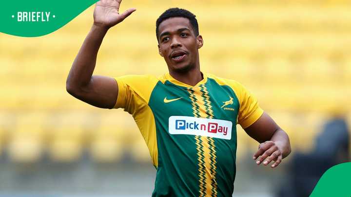 Springboks Scrumhalf Shake-Up as Grant Williams Eyes Japan Move ...