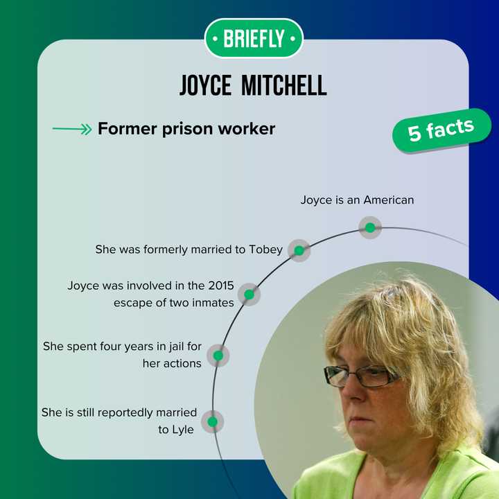 Are Joyce and Lyle Mitchell still married, or did the Dannemora scandal ...