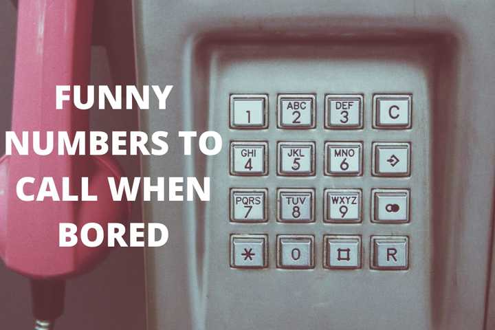 10 funny phone numbers to call when you have nothing else to do ...