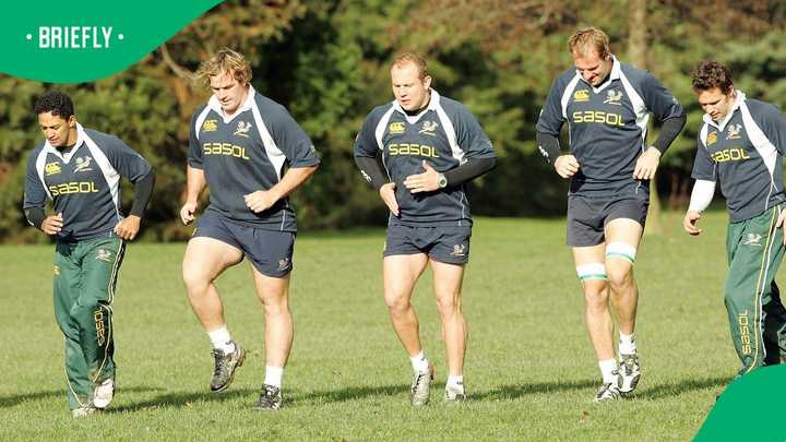 Rugby World Cup-Winning Former Springbok Gary Botha Named Harlequins ...