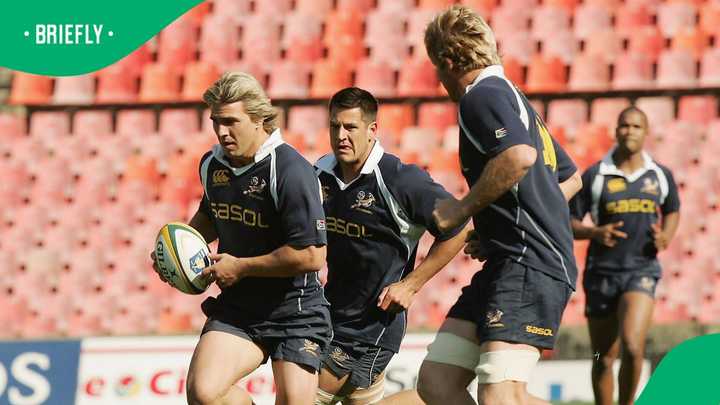 AJ Venter: Former Springbok Flanker Now Strategic Alliances Director at ...