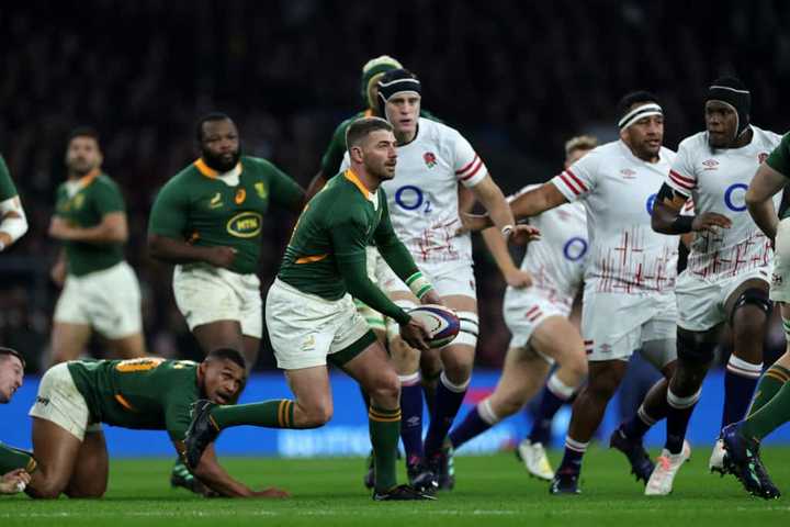 Springbok salary: How much do the players earn in 2024? - Briefly.co.za