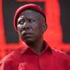 Julius Malema avatar